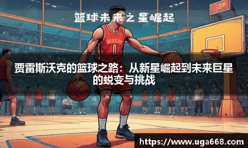 bsports官网入口