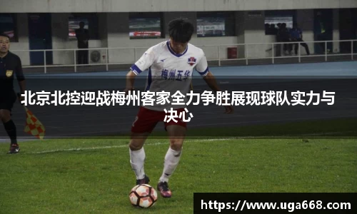 bsports官网入口